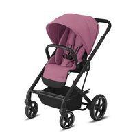 Magnolia Pink - Czarna Rama 2022