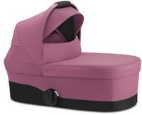 Magnolia Pink 2022